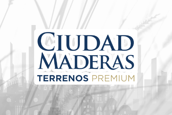 Ciudad Maderas